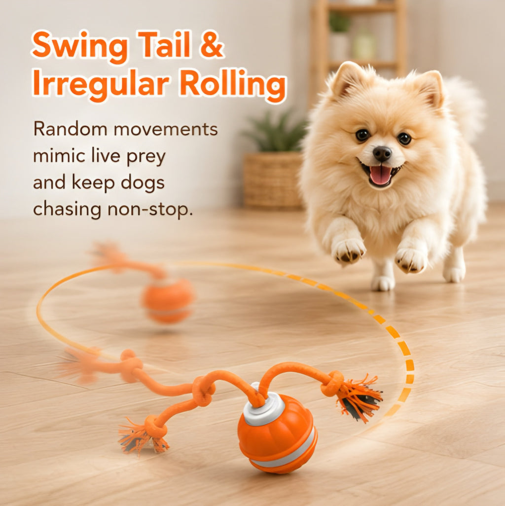 AutoPlay Rover Ball 🐶⚡